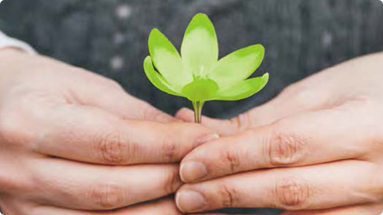 Person holding a small green flower between their fingers